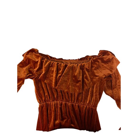 Vintage Rust Velvet Long Sleeve Gown With Train - Picture 4 of 12